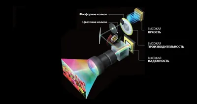 Обзор и тестирование 3D-сканера HP 3D Structured Light Scanner Pro S3 / Хабр