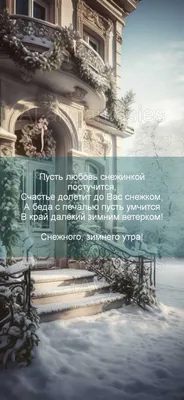 Доброе утро! Я, конечно, Ёжик не правильный - мне тут спать положено, а я  снегом любуюсь и с зимой вас поздравляю..... | ВКонтакте