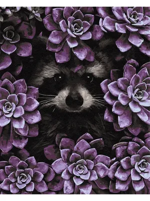 Картина по номерам-Енот в цветах ВанГогВоМне 12460745 купить за 592 ₽ в  интернет-магазине Wildberries