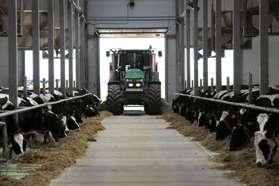 ферма вектор PNG , фермы вектор, ферма, молочная корова PNG картинки и пнг  рисунок для бесплатной загрузки