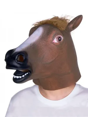 Раскраска Голова лошади | Раскраски лошади для детей распечатать, скачать