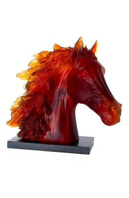 Раскраски Голова коня (28 шт.) - скачать или распечатать бесплатно #14214