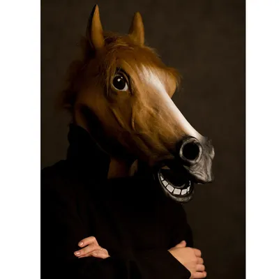 Карнавальная маска голова Лошади, Маска Коня - купить по доступным ценам в  интернет-магазине OZON (1315269619)