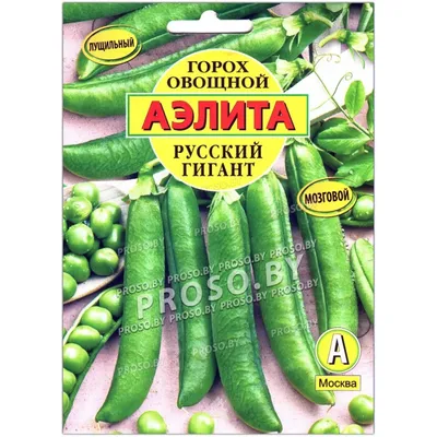 Горох овощной Сахарок-ползунок 25г, семена | Купить в интернет магазине  Аэлита