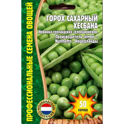 Горох изолирован. два открытых стручка гороха с листьями гороха. | Премиум  Фото