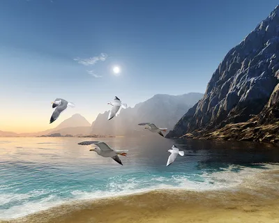 Чайки Море Гора - Бесплатное изображение на Pixabay - Pixabay