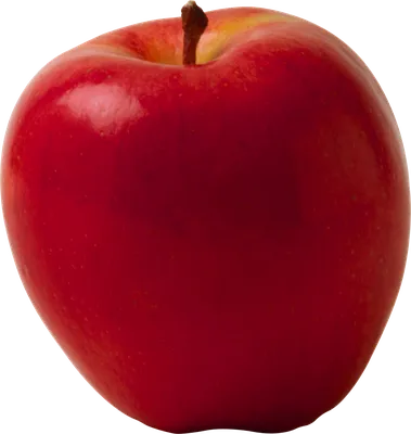 Нарезанное свежее яблоко на белом фоне :: Стоковая фотография :: Pixel-Shot  Studio