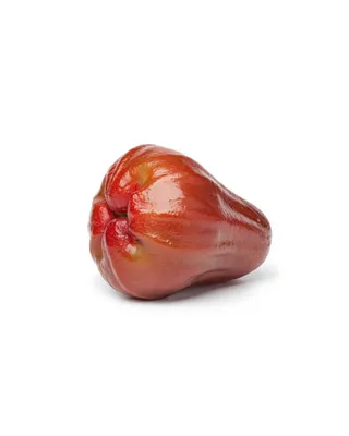 Яблоко Салтанат кг | Яблоки и груши | Arbuz.kz