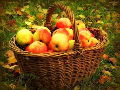 Блог воспитателя детского сада: Рисование \"Яблоня с золотыми яблоками\"