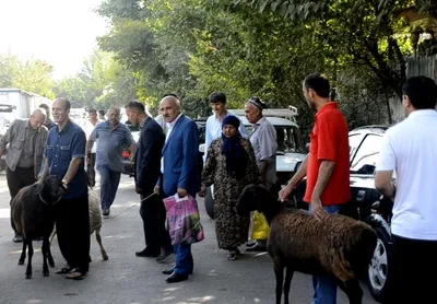 В Таджикистане праздник Иди Курбон отметят 20 июля | NOVOSTI.TJ