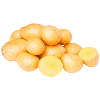 Диетолог объяснила, сколько картофеля можно съесть без вреда для фигуры –  Москва 24, 03.08.2021