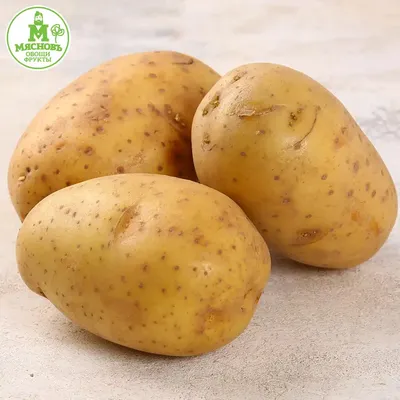 Картофельные дольки с укропом Мираторг, цена – купить с доставкой в  официальном интернет-магазине Мираторг