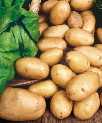 Купить картофель гриль в магазине Fruitonline.ru