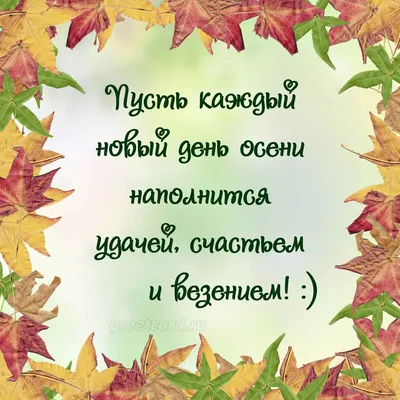 Чудесного осеннего дня #осень #день #хорошегодня #позитив #настроение |  TikTok