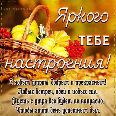 🍁 Хорошего осеннего дня! 🍂 ⠀ Добрых пожеланий не бывает много. ☂️ А если  нет специального повода, просто так желаем нашим клиентам… | Instagram