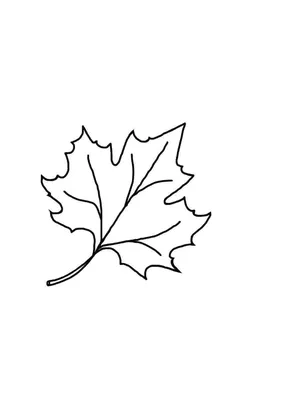 Раскраска дерево лист. Кленовый лист