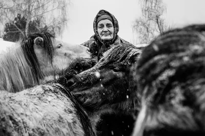 Набор чая \"Огненный Конь\" в подарок парню, мужу, мужчине на День Рождения.  Подарочный чай ассорти листовой рассыпной высшей категории. - купить с  доставкой по выгодным ценам в интернет-магазине OZON (856774624)