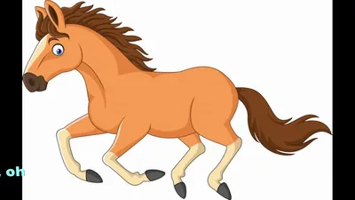 AAAA-Q1437-100x100 Любимая лошадь Животные Конь Для детей Детская Для  девочек Для мальчика 100х100 Раскраска картина по номерам на холсте  недорого купить в интернет магазине в Краснодаре , цена, отзывы, фото