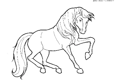 Живопись по номерам Любимый конь Животные Лошадь Для детей Детская