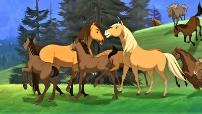 Раскраска Лошадь | Раскраски лошадей. Раскраски лошадок и коней