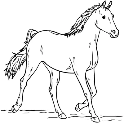 Конь с пышной гривой грива конь лошадь Раскраски для детей мальчиков
