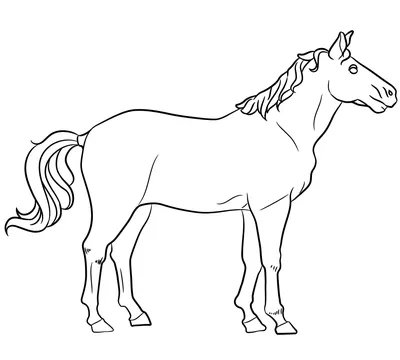 Картинки лошади для детей + раскраски (49 шт.)