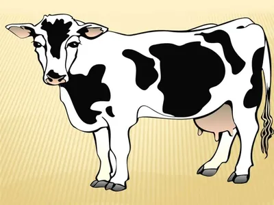 Корова сбила пастуха в ДТП под Волгоградом