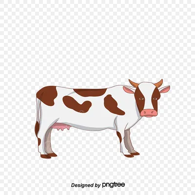 Почему корова жует корм дважды? | Статьи ООО Укрвет
