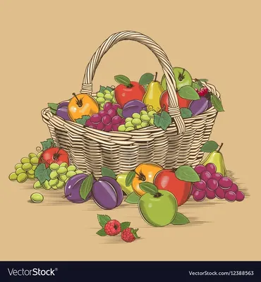 Лепим Корзинку с Фруктами и Овощами |Учим цвета с Плей Дох |Учим названия  фруктов и овощей для детей - YouTube