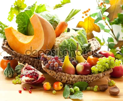 Сферы применения муляжей овощей и фруктов