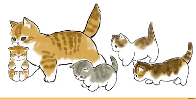Мама кошка целует котенка. Кошка обнимает котенка и прижимает морду котенка  к своей. Кошка крепко держит ребенка котенка. Кошка серая, пушистая.  Котенок маленький, белый с рыжим. Семья кошек. фотография Stock | Adobe