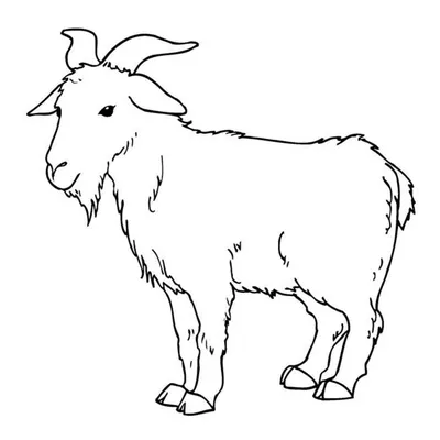 Бесплатный STL файл коза 🐉・3D-печать объекта для загрузки・Cults