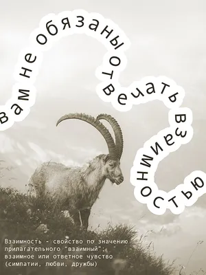 Морда козы крупным планом Stock Photo | Adobe Stock
