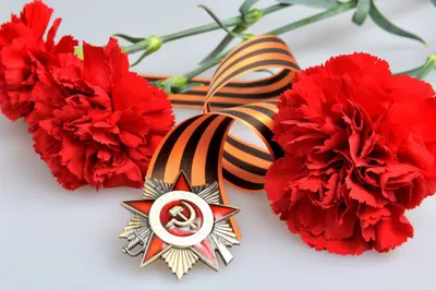 Купить красную гвоздику с доставкой в Москве ❤ Azeriflores.ru — Москва