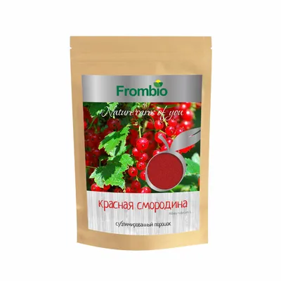 Сироп 1883 Maison Routin Красная Смородина (Redcurrant), 1 л, стекло  81230280 6051 Redcu: купить в RestInternational.ru