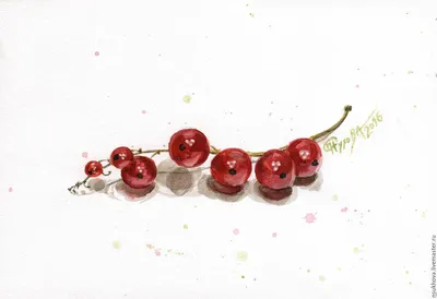 Замороженная красная смородина купить оптом в Омске, цены на красную  смородину в заморозке в магазине ДИКОРОСПРОМ