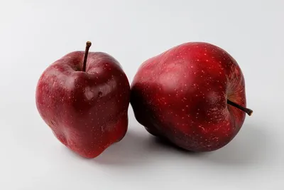 Красные или зеленые яблоки – какие на самом деле полезнее? | Как  предотвратить старение | Дзен