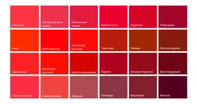 Какой цвет настоящий красный? | ༺ Полина Вахитова. Имидж ༻ | Дзен