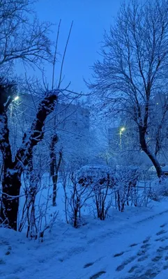 Фото 887286468005 из альбома Разное. Разместил ☛ 𝒯𝒽𝑒 𝒢𝒶𝓁𝓁𝑒𝓇𝓎 в ОК  | Winter scenery, Winter scenes, Beautiful winter scenes