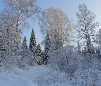 Красота зимы (16.02.2022) - Казахстанские, Павлодар