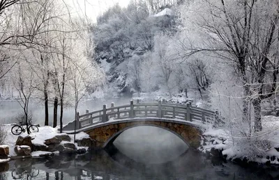 Красота зимы » BigPicture.ru