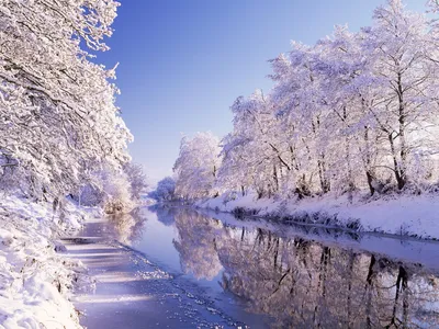 Красота зимой - 76 фото