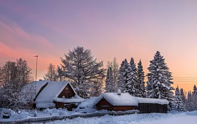 Красота зимой - фото и картинки: 62 штук