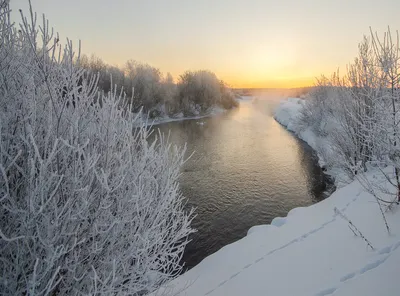 Барбарис зимой! / Красота природы зимой! / Автор: Жанна Нечаева