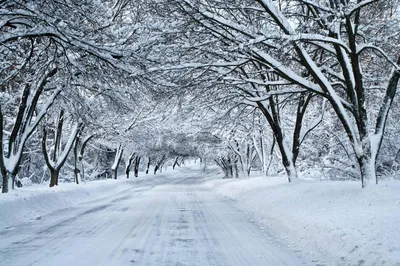 Зима Якутии, вспомним красоту зимы (ФОТО) | Пикабу