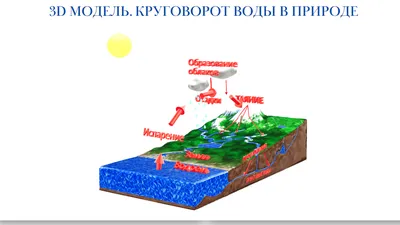 схематично изобразите круговорот воды в природе.Пожалуйста. - Школьные  Знания.com