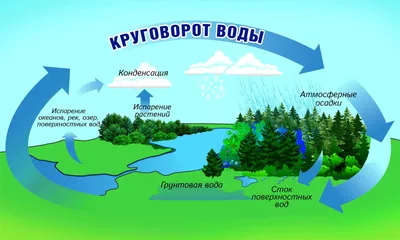 Наглядно-познавательное пособие «Круговорот воды в природе» в группе  старшего возраста (1 фото). Воспитателям детских садов, школьным учителям и  педагогам - Маам.ру