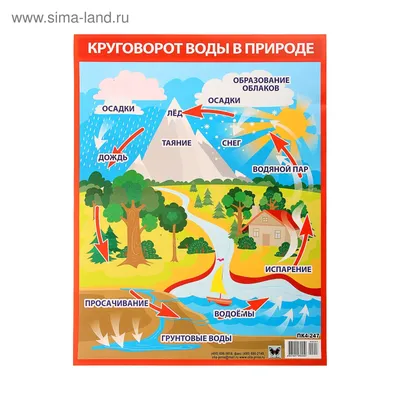 Круговорот воды в природе Артикул: 00649р для детского сада — купить в  Нижнем Новгороде по выгодной цене с доставкой по России
