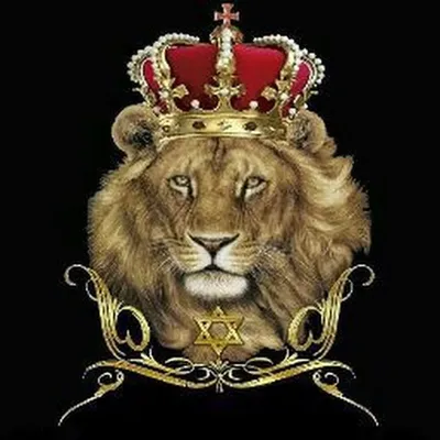 клипарт лев короне: 6 тыс изображений найдено в Яндекс.Картинках | Fotos de  leão, Desenho de deus, Tribo de judá