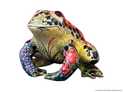 Новый вид маленькой древесной лягушки назвали в честь экоактивистки Греты  Тунберг | Новости на Громадськом радио